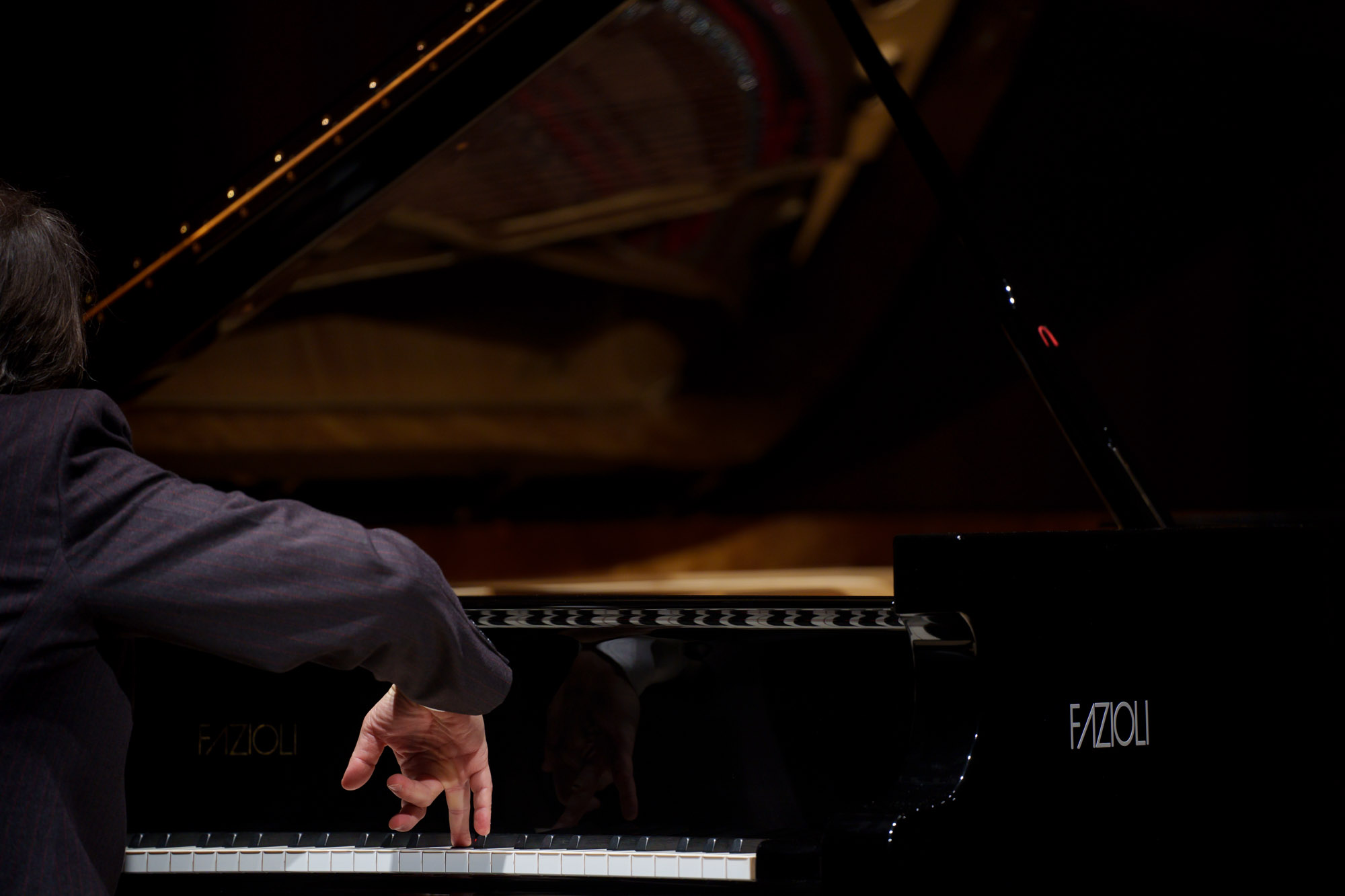 Maurizio Baglini, Fazioli Concert Hall, Sacile