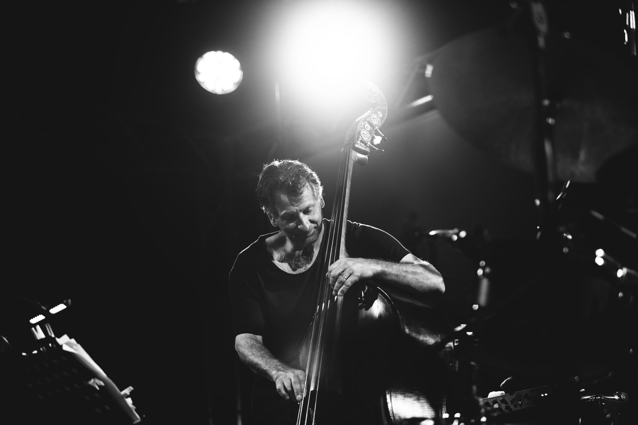 John Patitucci, More Than Jazz, Udine